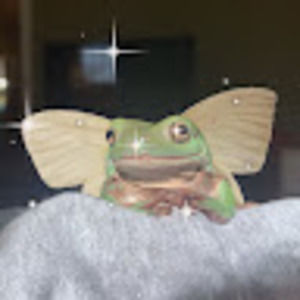 Meet your Posher, Eleanor